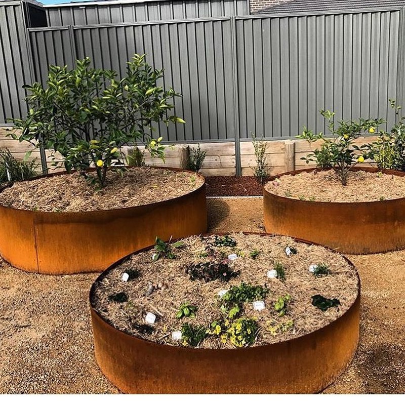 corten plant and tree rings